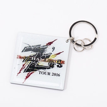 キーホルダー(Z’sTOUR 2016-3rd CHALLENGE-)